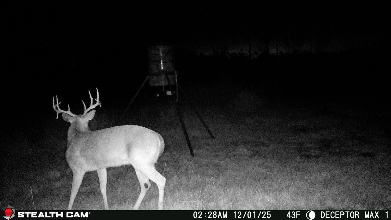 Young one looking great!