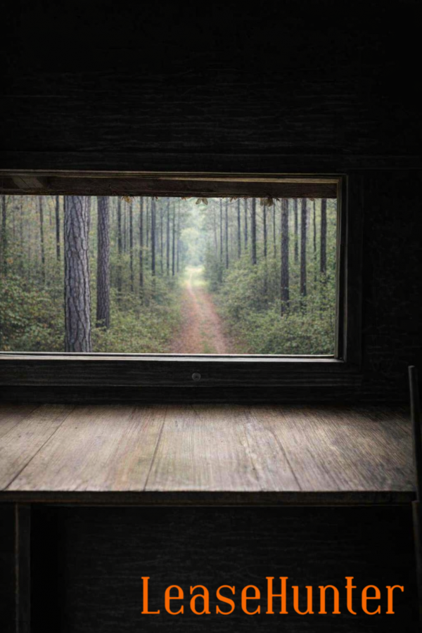 View from hunting stand overlooking managed East Texas pine timber lane at Blue Water Reserve