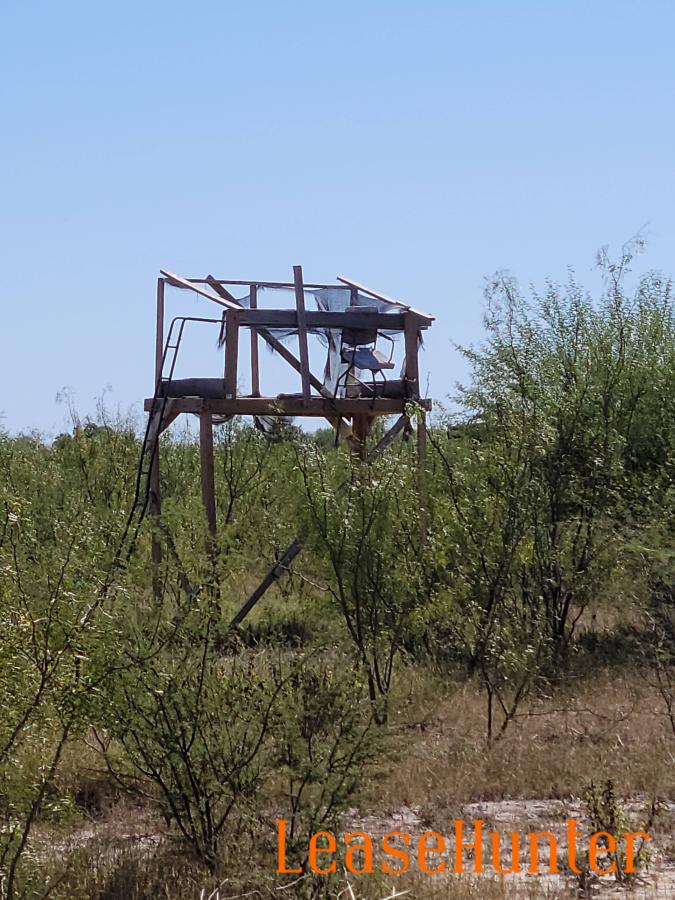 1elevated.jpg