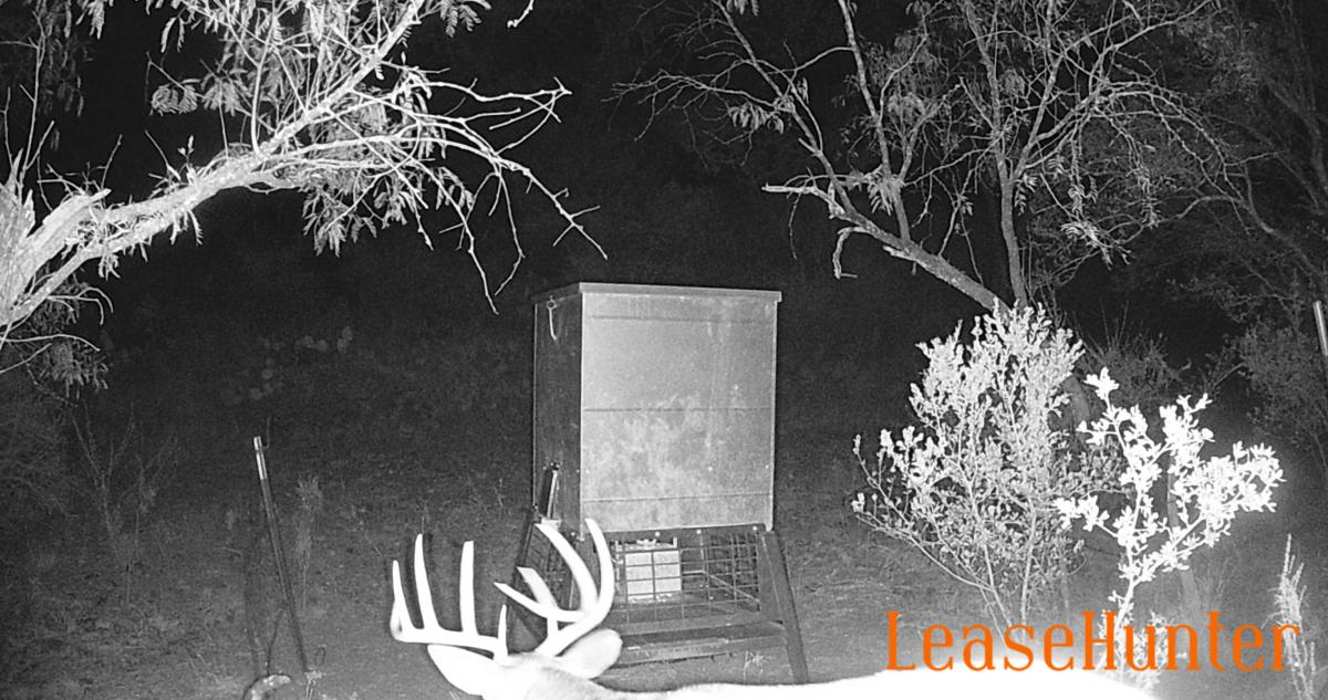 photo from last season