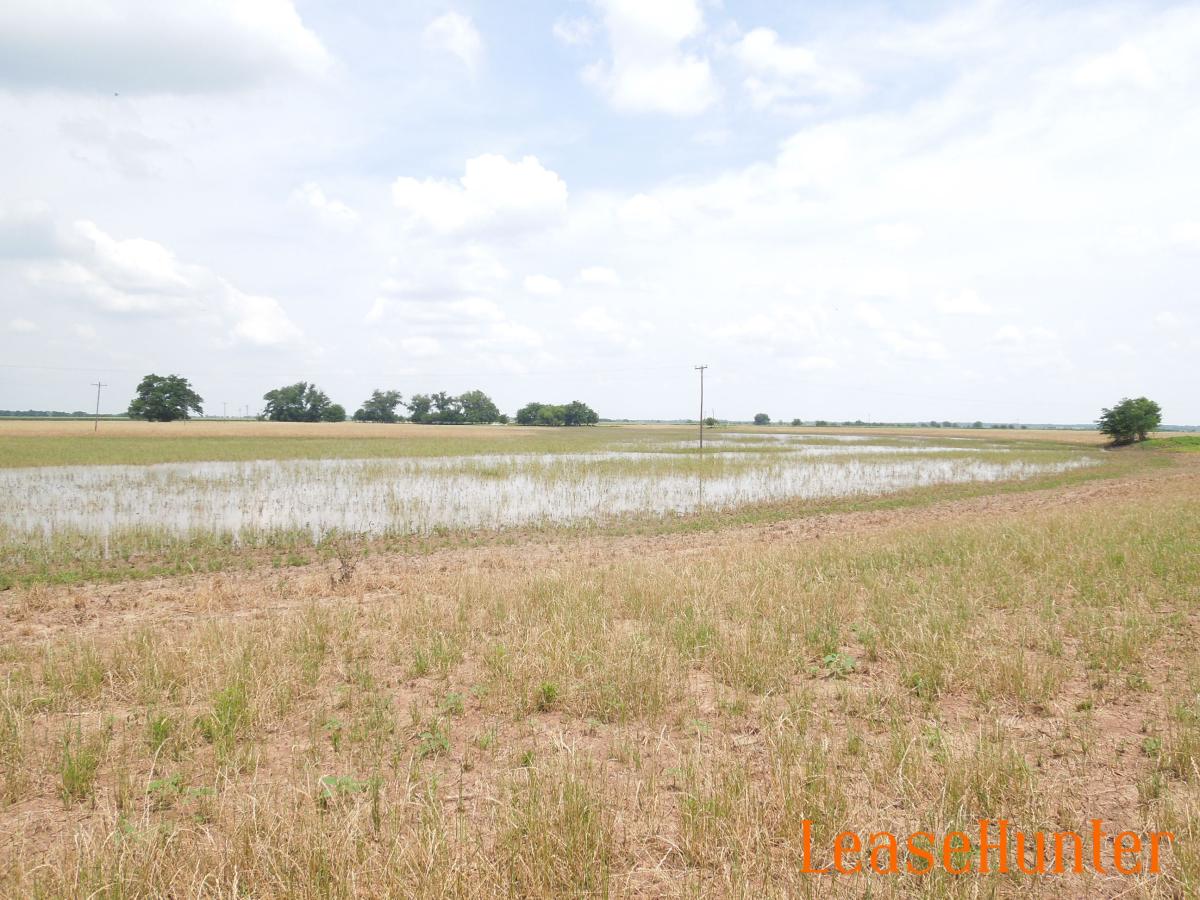 Duck lease in central Texas