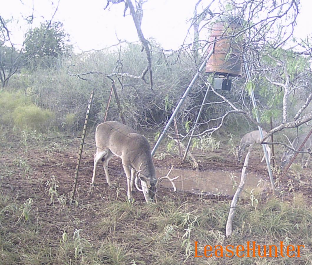 photo from last season