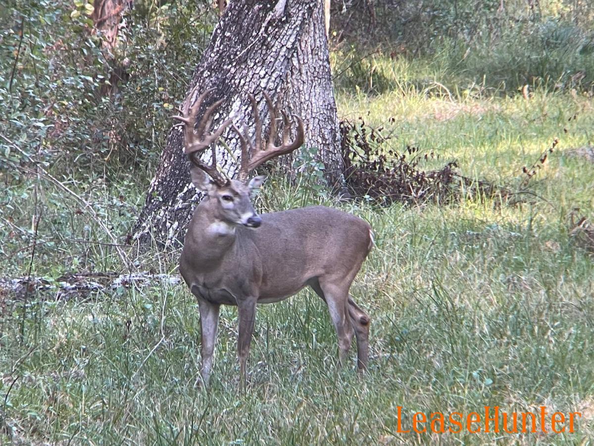 Latest Hunting Leases LeaseHunter