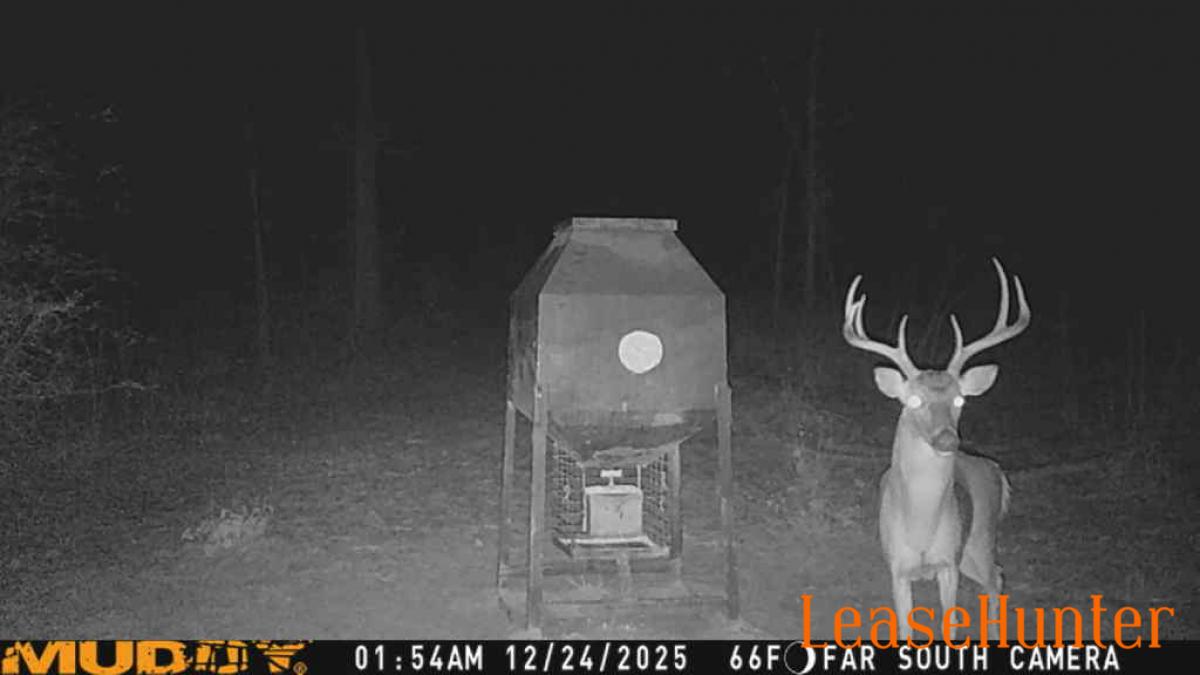Walker county deer lease