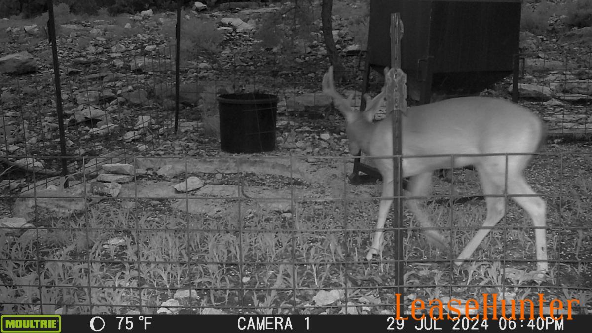 Between del rio and rocksprings