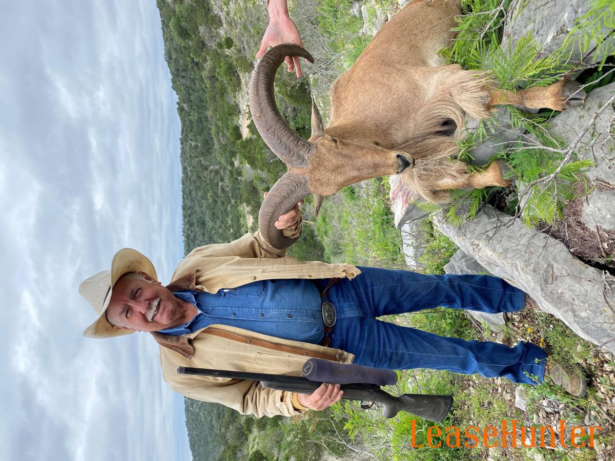 Aoudad hunting in the hills.